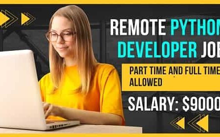 Remote Python developer job