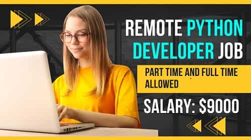 Remote Python developer job 