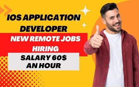 Application developer job