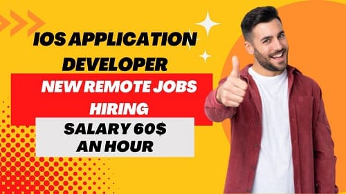 Application developer job 