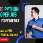 Remote python developer job