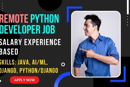 Remote python developer job